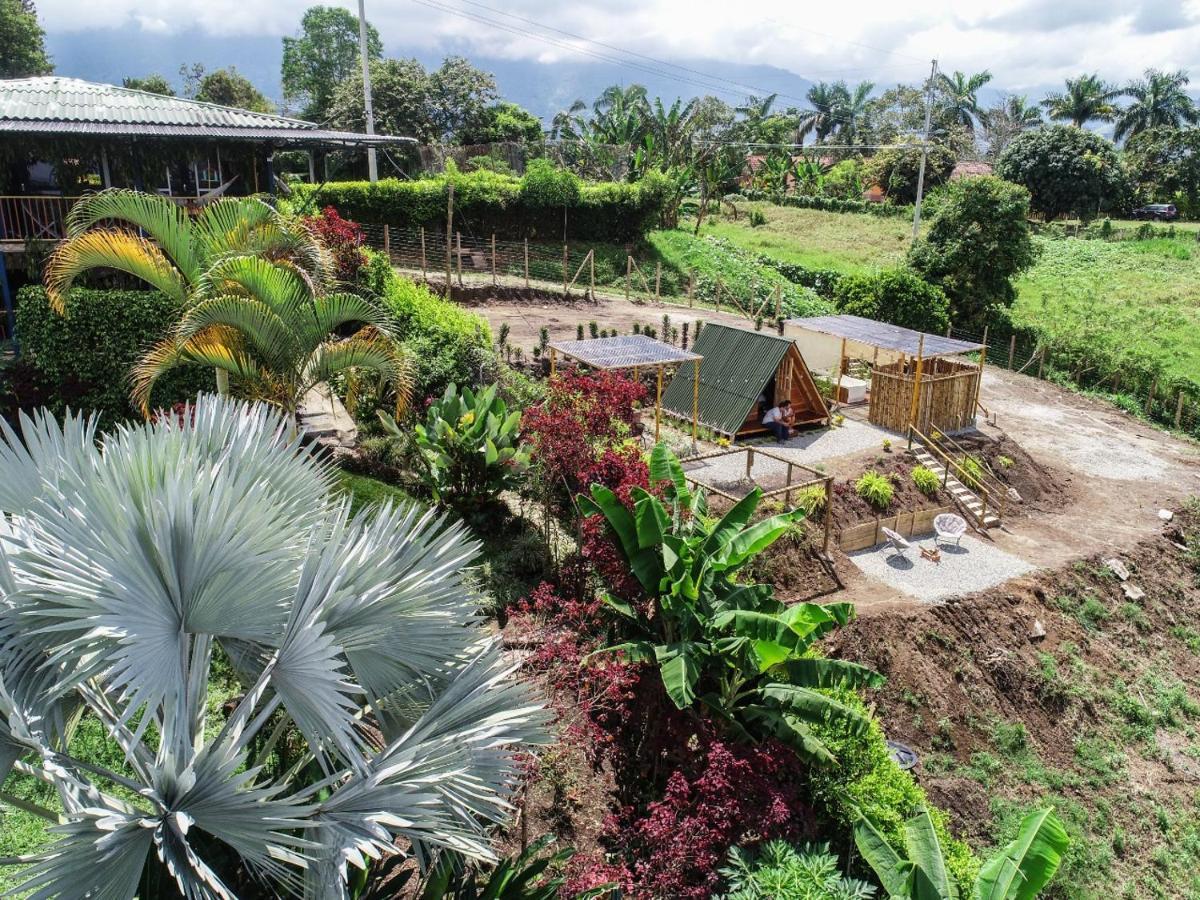 Villa Alejandra Del Quindio Calarcá Eksteriør bilde